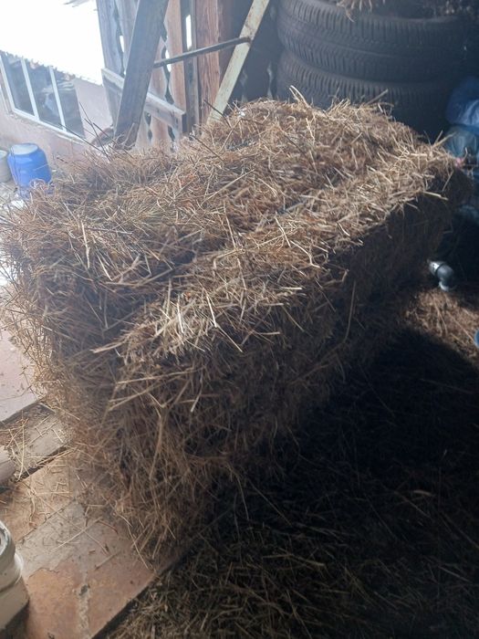 Vând baloți de fân