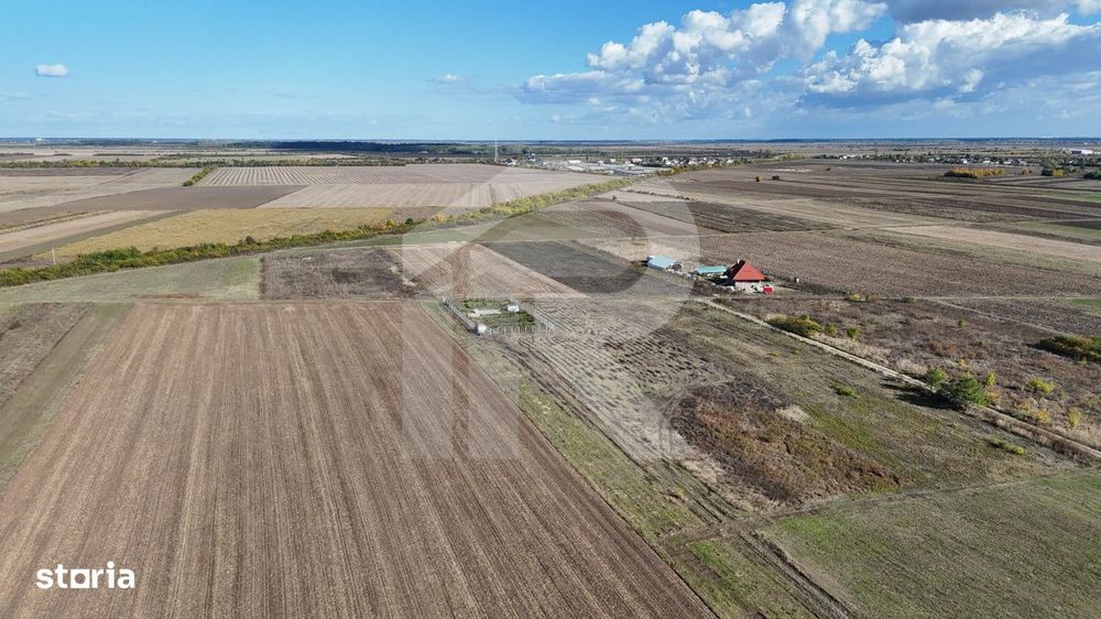 Refugiu la marginea padurii — 2822 mp de liniste in Cocani.