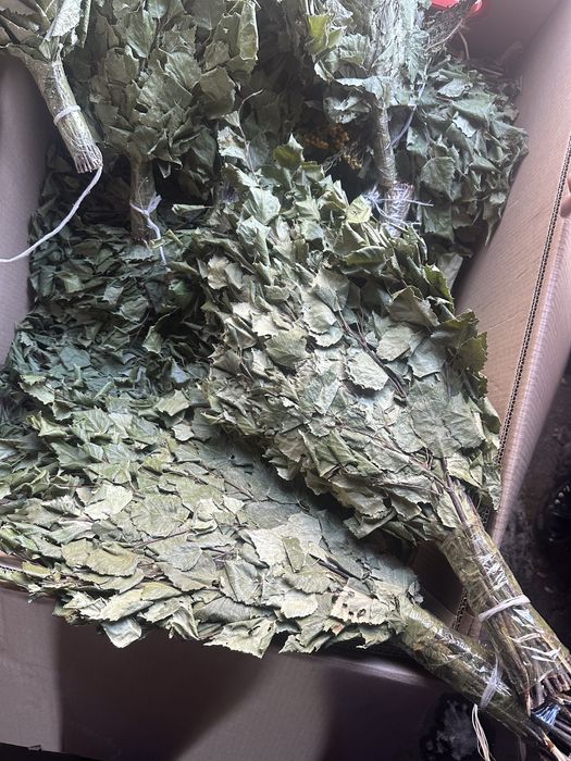 Берёзовые веники для бани