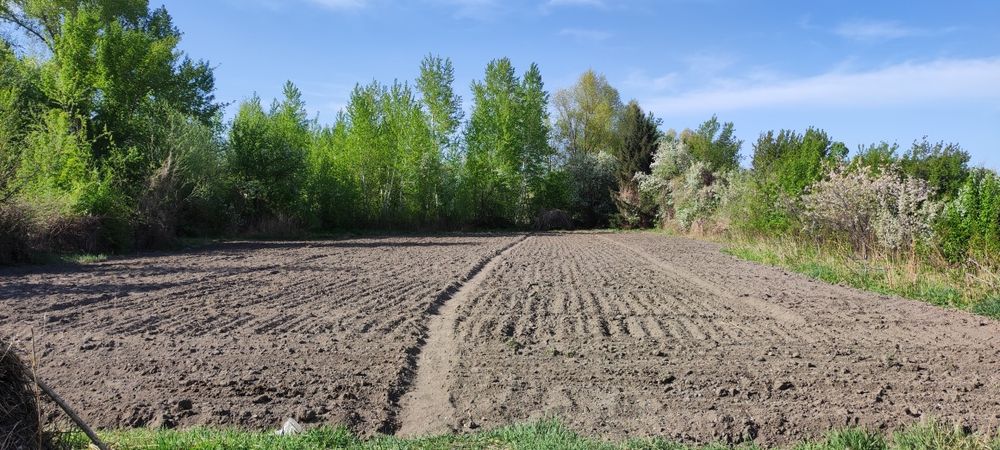 Продам дом: 3 комнаты и кухня