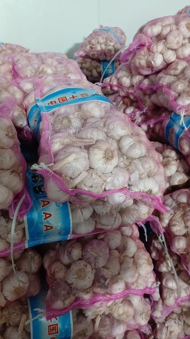 Чеснок свежий производство Китай