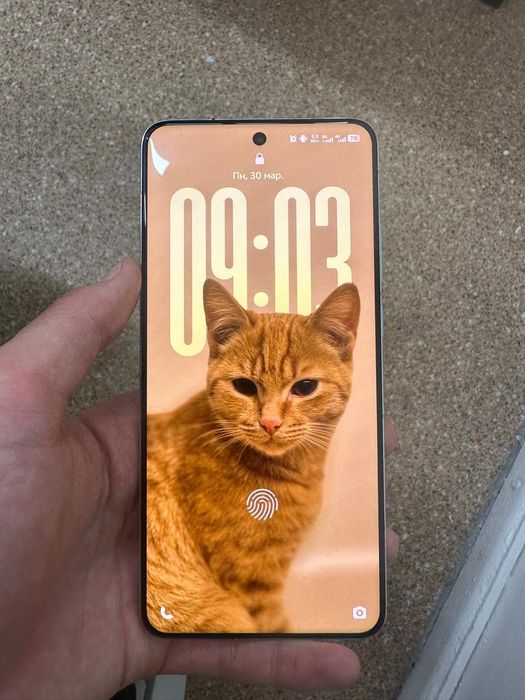 Vivo x200 pro 256/12