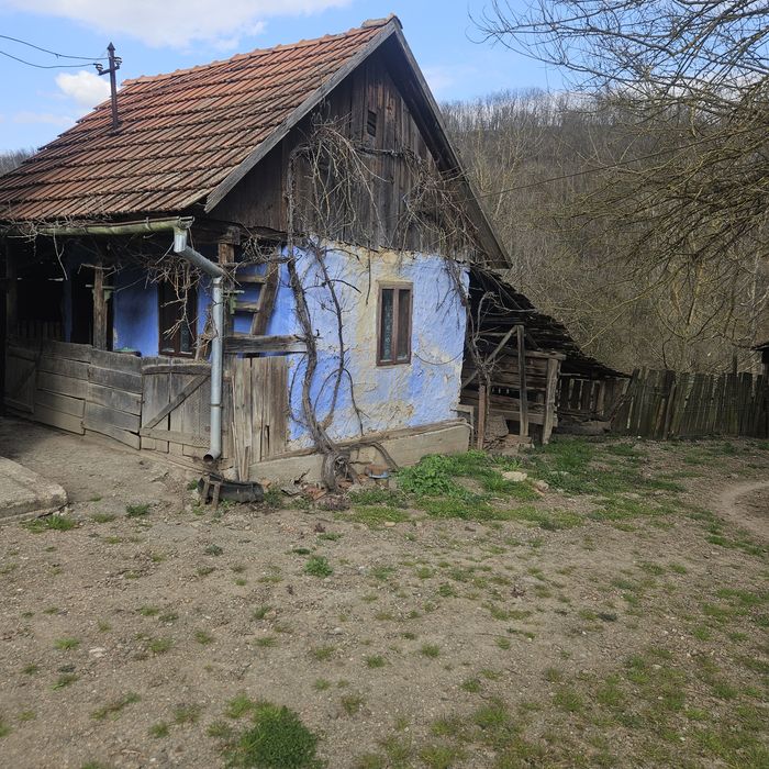 Vând casă  Sat Caraci  com Baia de cris