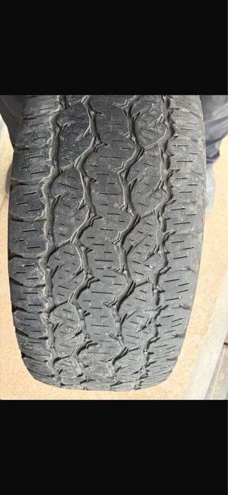 АвтоШины izzarda