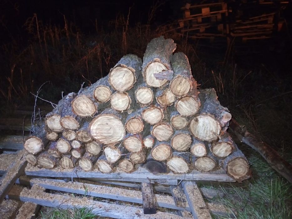 Карагач в мешках