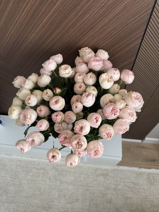 Цветы Пионовидные розы