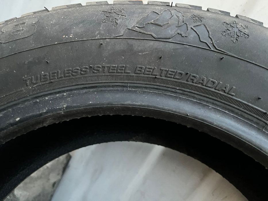 Зимние шины Пассат