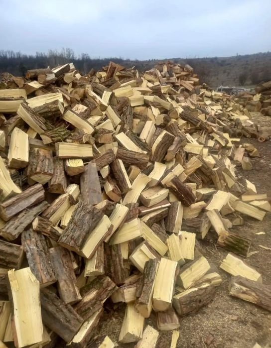 Lemne de foc salcâm uscat sau verde 700 lei tona sau 400 lei m ster
