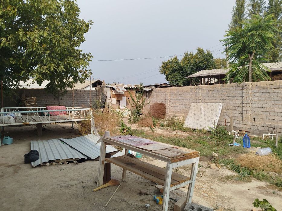 Kotta tirasaga  juda yaqin