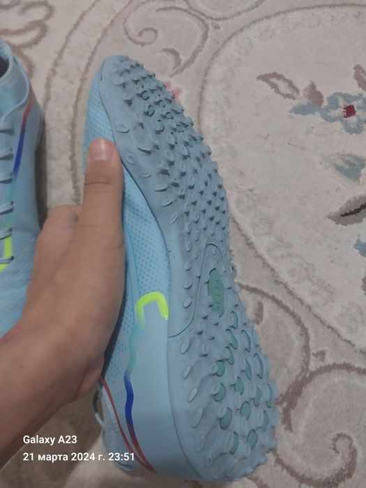 Сороконошки в хорошем состаяни