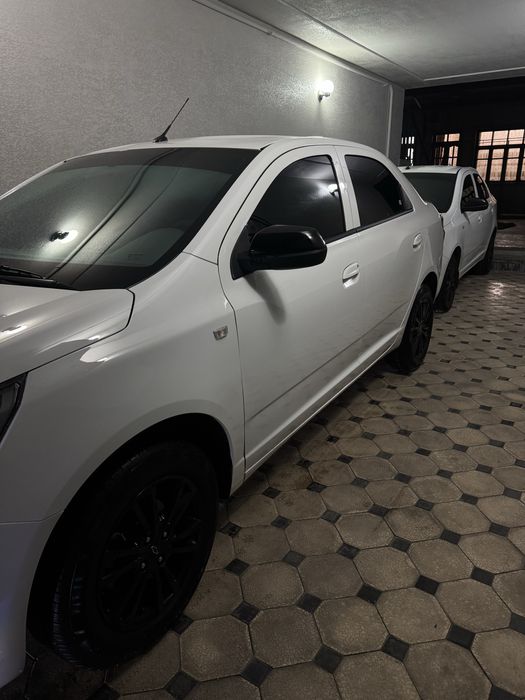 cobalt midnihgt 2025