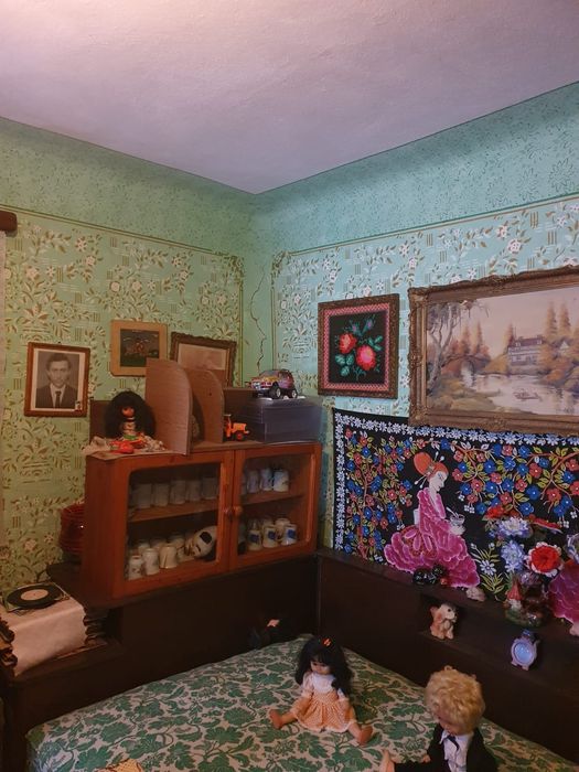 Casa bătrânească și teren de vânzare Gogoșari judetul Giurgiu