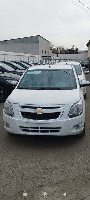 Cobalt stayle msm birchi nomeri olingan