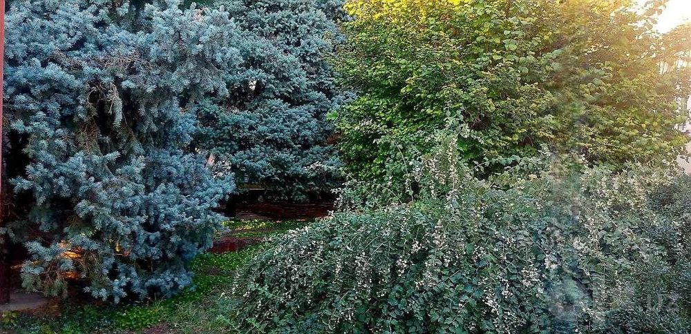 Продается участок  в районе ул.Хирмонтепа (Никитина)