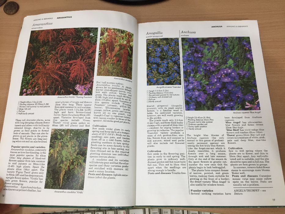 Енциклопедия A-Z of Annuals, Biennials & Bulbs (Successful Gardening)