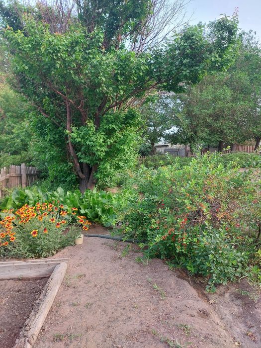 Торангылык 130 м2