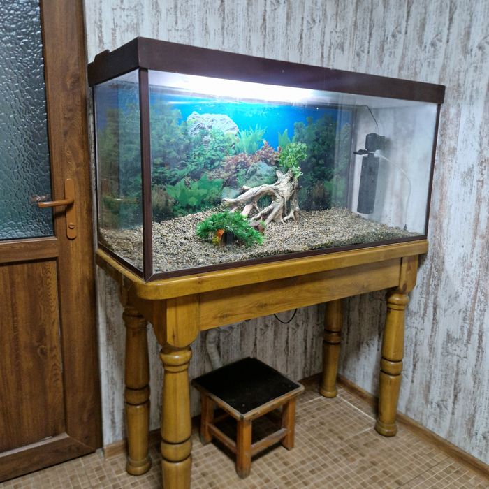 Аквариум 300 л. со столом.