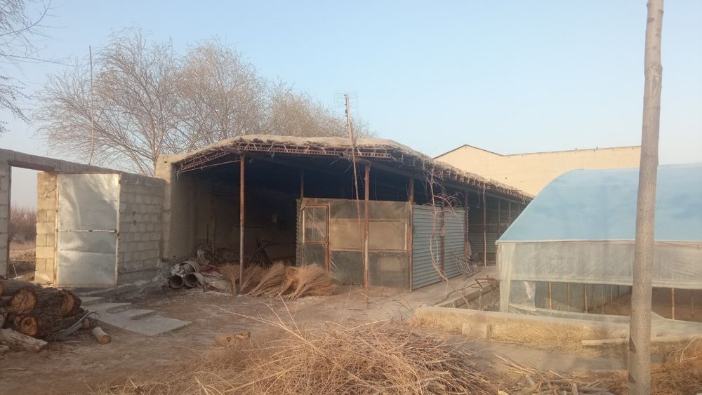 Todon mahallada Issiqxona va uchastka uchun móljallanga hujjatlari joy