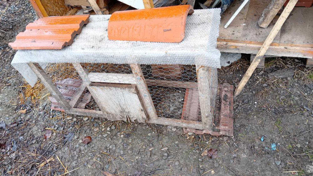 Vând/schimb prepelițe cocoși cotețe