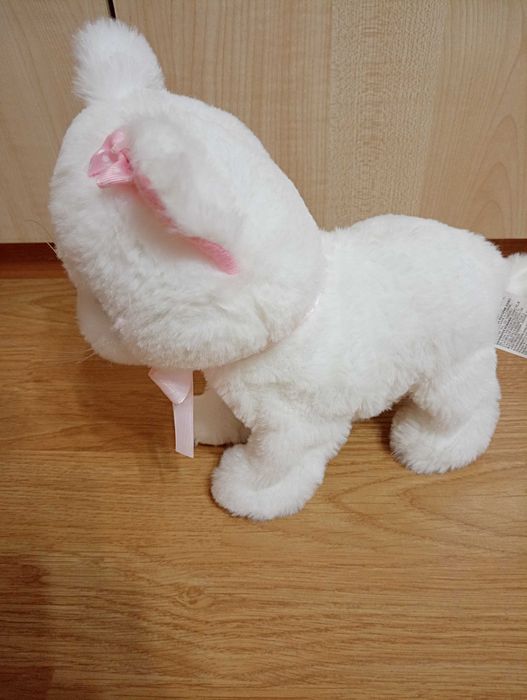 Тоалетка, Ходещо и мяукащо коте, Комплект бижута Gemex