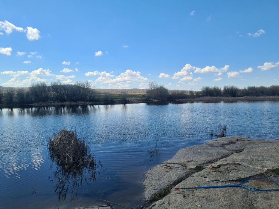 Продаётся платина.