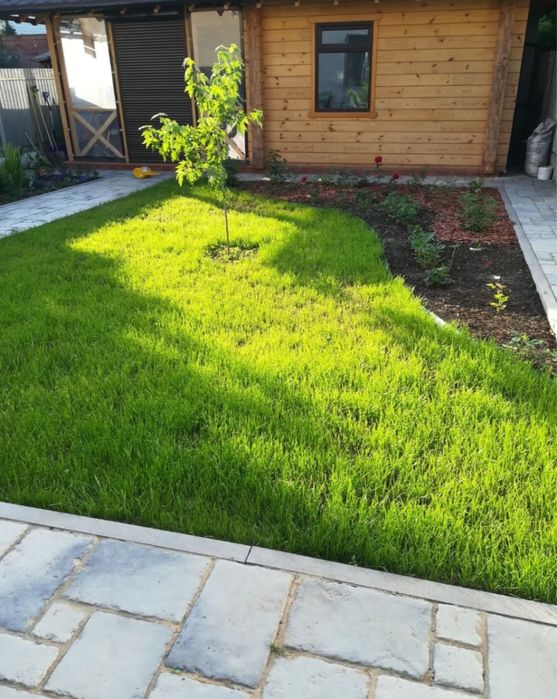 Озеленение под ключ