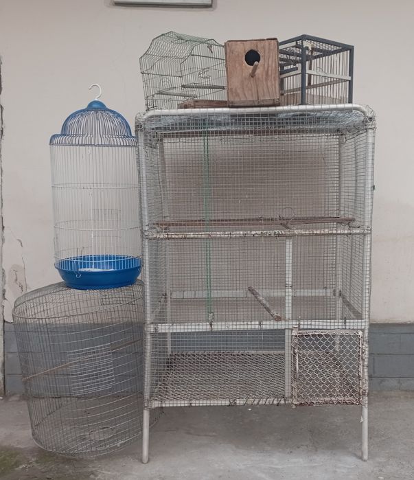 Продается Валер для птиц