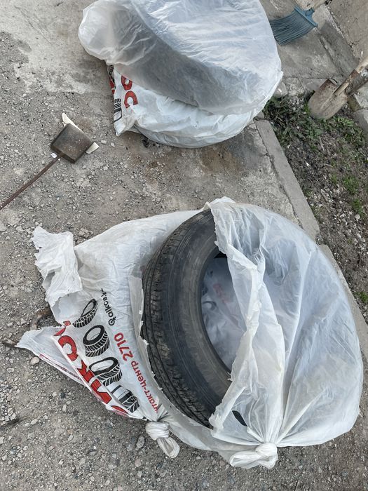 Донгелек шины продам