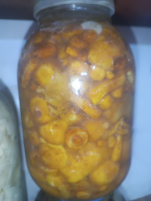 Пподам грибы соленые.