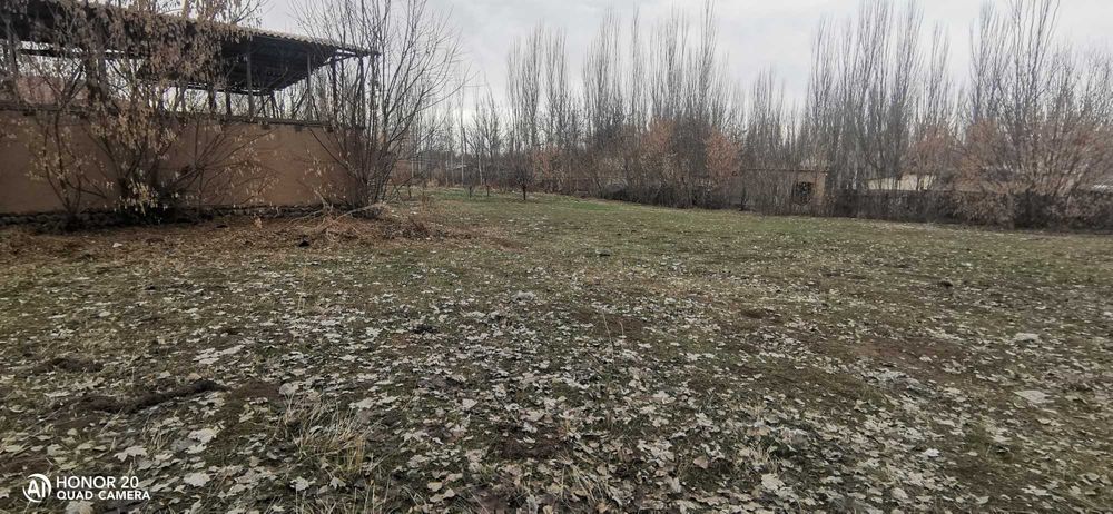 Yer sotiladi dala hovli