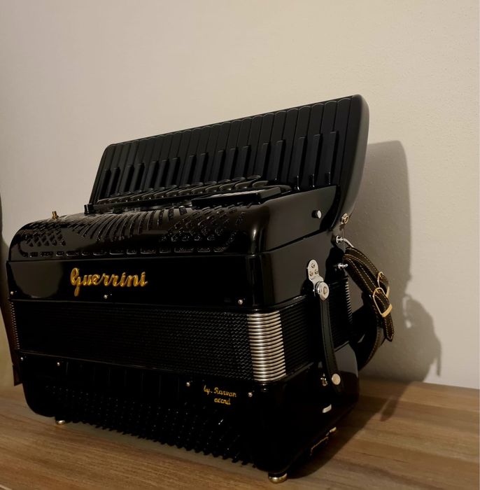 Vand acordeon digital impecabil