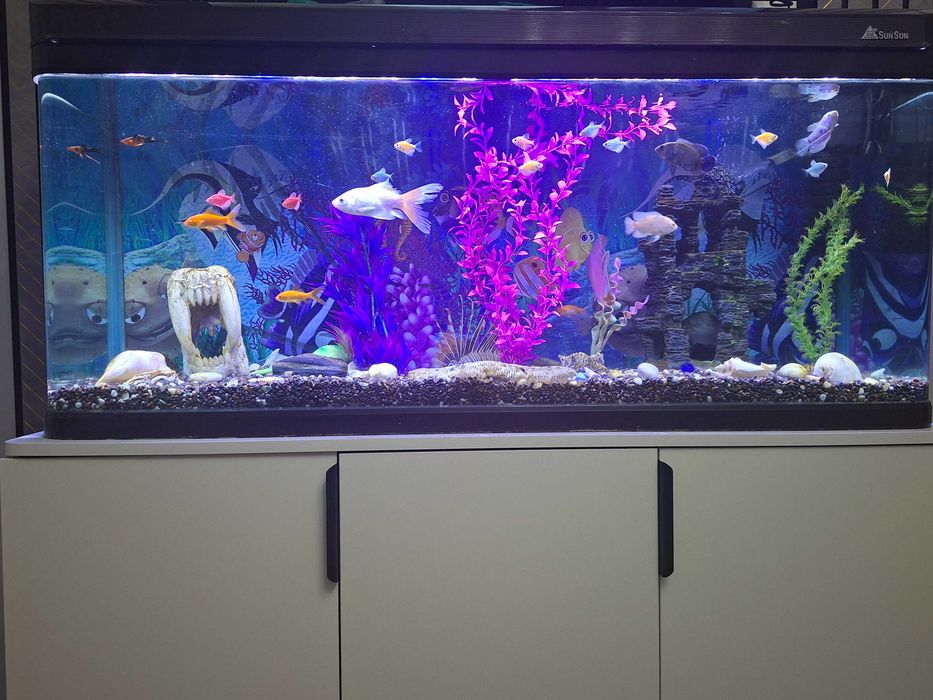 Завадской Аквариумы рыбками