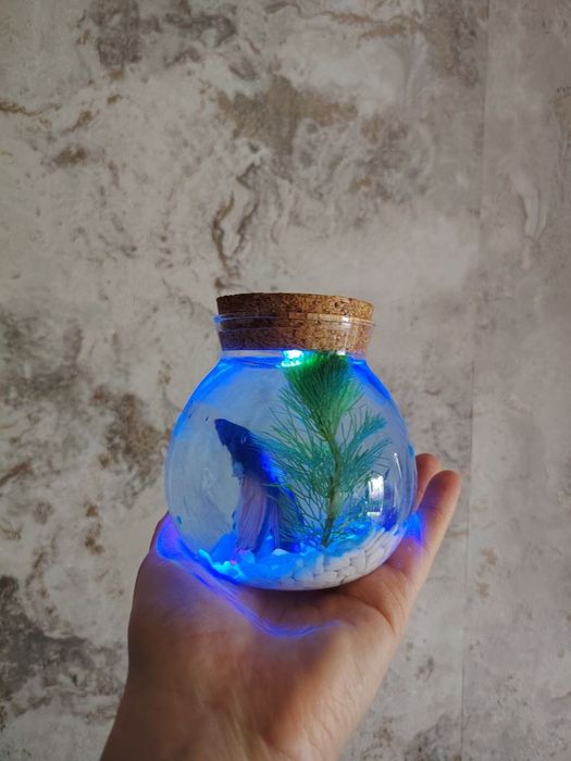 Продается переносной аквариум с рыбкой петушком.