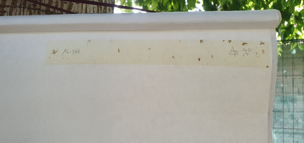 Китайска картина свитък  Божур