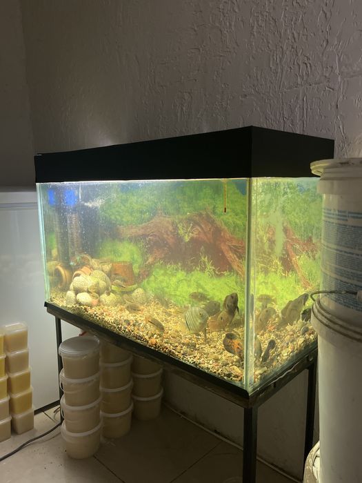 Аквариум 140 литров