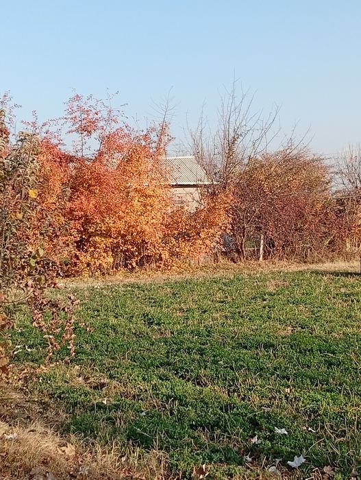 Yer sotiladi Parkent tumani qirgʻiz ovul qishlogʻida