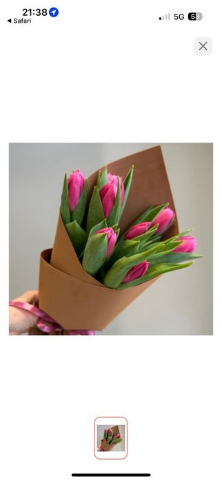 Тюльпаны оптом и в розницу