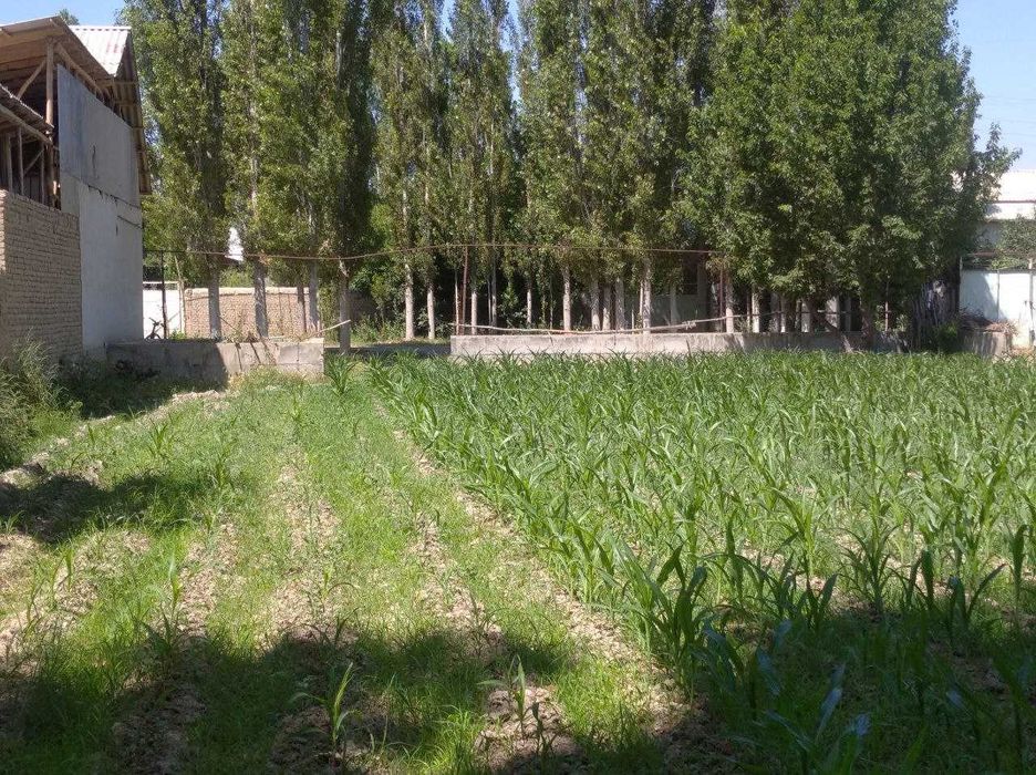 Farg'ona tumani Avval shaharchasida chek sotiladi!!!