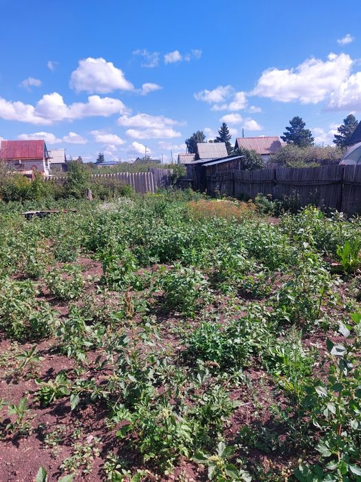 Дача по зерендинской трассе