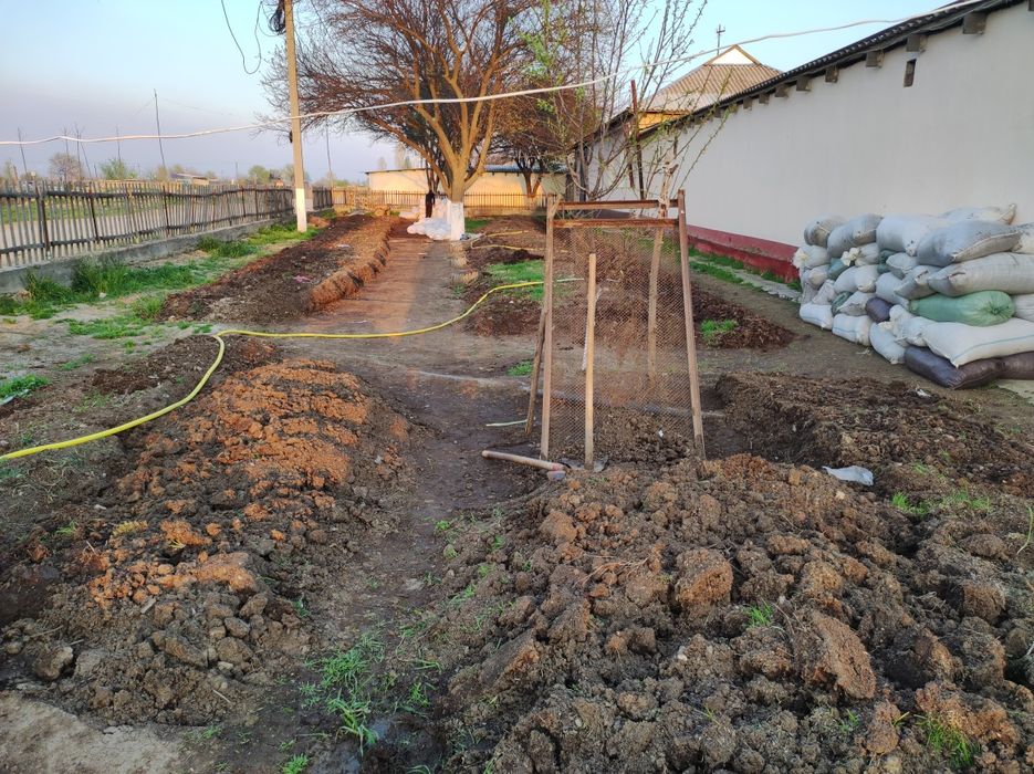 Биогумс табби огит