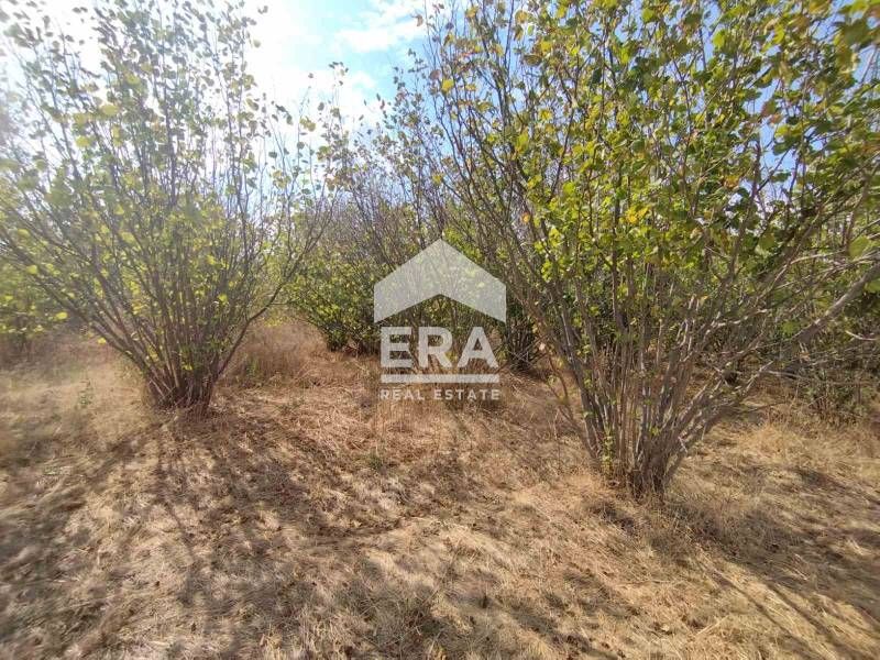 Продава се Парцел в с. Книжовник, Област Хасково - 1005 кв.м за 23 €/кв.м - Снимка #1