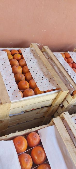 Karolyok. Sariq  Xurmo bor 10 ton