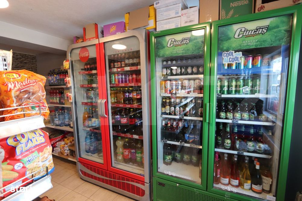Spatiu comercial + teren, 163 mp utili, 983 mp, Matasaru/Poroinica