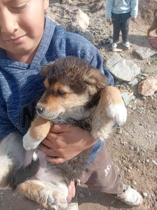 4 та кучукча хадияга