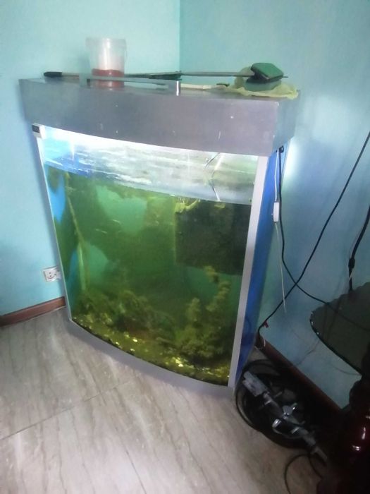 Продам напольный аквариум
