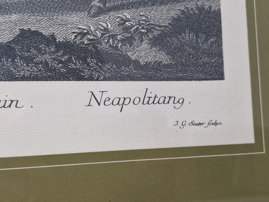 Tablou Gravură Johann Elias Ridinger