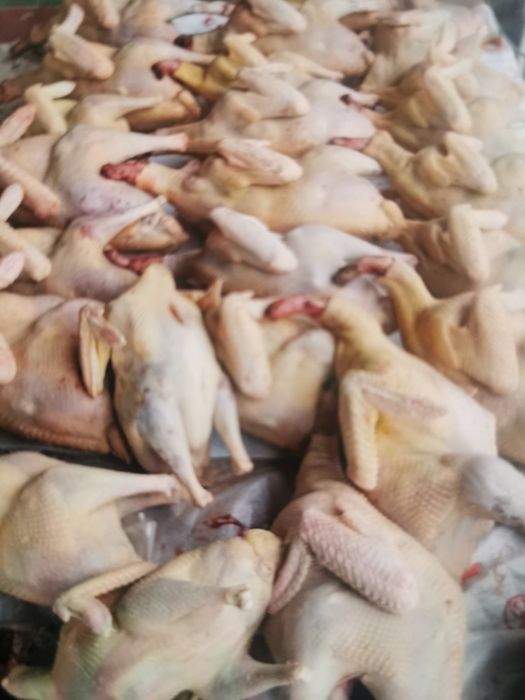 Үндік еті сатылады