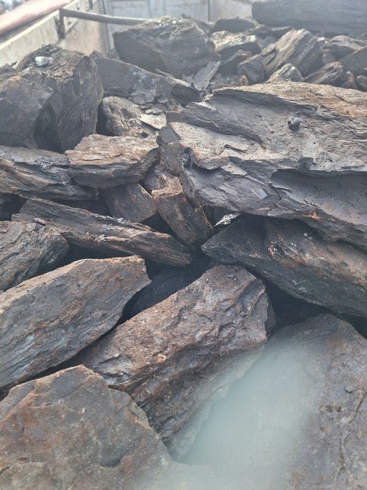 Carbune lignit bulgari