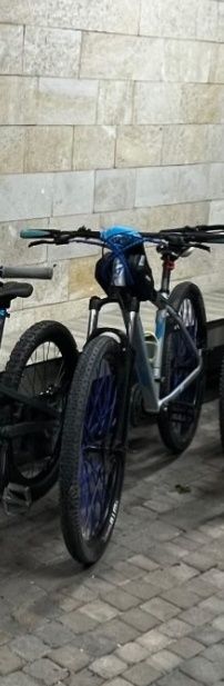 Bicicleta Afisport m2 costum mtb