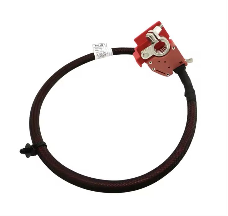 Senzor Capsa Baterie Borna Plus Bmw X5 X6 X7 G05 G06 G07 F95 Hybrid